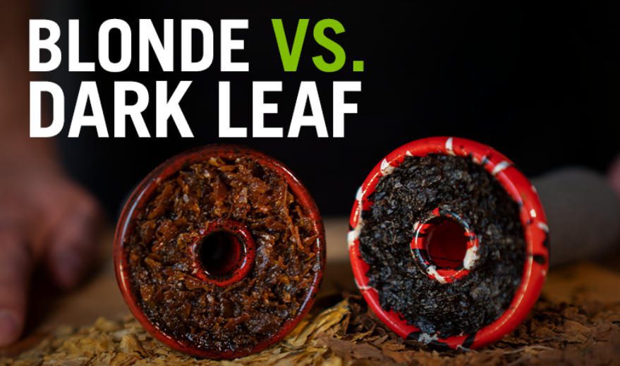 Blonde Leaf versus Dark Leaf shisha tobacco showing color, moisture, and cut differences